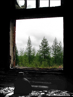 Окно в тайгу | Фотограф Сергей Жеребцов | foto.by фото.бай