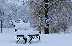 Первый снег | Фотограф Александр Задёрко | foto.by фото.бай