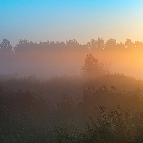 Как утро сменяло ночь | Фотограф Александр Чиж | foto.by фото.бай