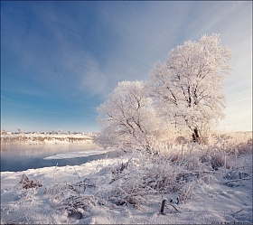 / Зима, холода .... / | Фотограф Влад Соколовский | foto.by фото.бай