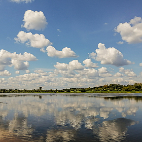 Летний полдень | Фотограф Виктор Позняков | foto.by фото.бай