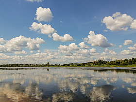 Летний полдень | Фотограф Виктор Позняков | foto.by фото.бай