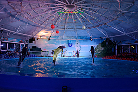 Работа фотографа Сергей Тарасов