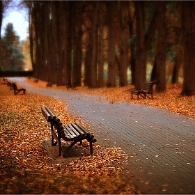 фотограф Александр Войтко. Фотография "Осень"