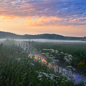 Рассвет в начале лета | Фотограф Сергей Шабуневич | foto.by фото.бай