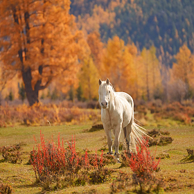 *** | Фотограф Ольга Максимова | foto.by фото.бай