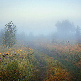 В туман. | Фотограф Mihail | foto.by фото.бай