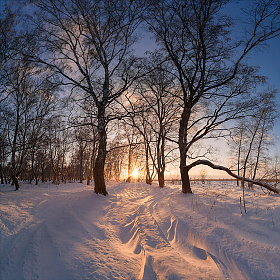 Цвета зимнего заката. | Фотограф Алексей Богорянов | foto.by фото.бай