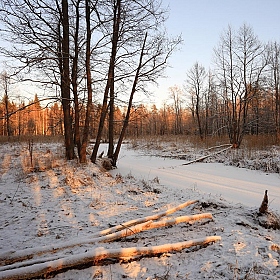 фотограф Андрей Марцинкевич. Фотография "В январе."