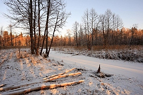 В январе. | Фотограф Андрей Марцинкевич | foto.by фото.бай