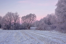 морозный рассвет | Фотограф Сергей Краенков | foto.by фото.бай