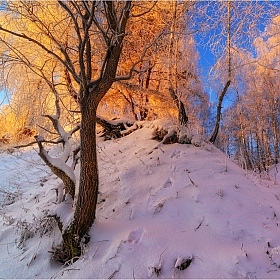 фотограф Юрий Купреев. Фотография "Зимние краски."