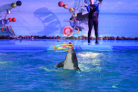 Работа фотографа Сергей Тарасов