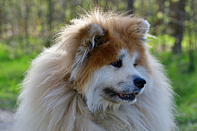 *** | foto.by фото.бай