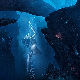 фотограф Vitaly Shokhan. Фотография "Under Water Dance"
