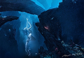 Under Water Dance | Фотограф Vitaly Shokhan | foto.by фото.бай