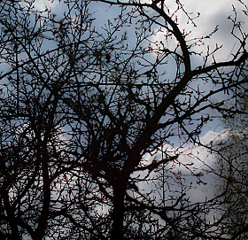 *** | foto.by фото.бай