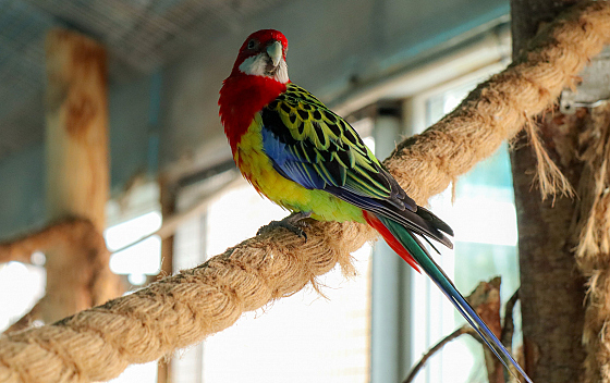 Фотограф Алексей Климков, фотография добавлена 06.11.2025