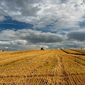 фотограф Себастьян Перейра. Фотография "Битва за урожай"