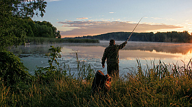 Сам бы съел, да рыбам надо! | foto.by фото.бай