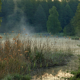 "Дым над водой" | Фотограф Владимир Ковалёв | foto.by фото.бай