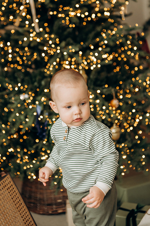 Фотограф Юлия Левандовская, фотография добавлена 25.11.2024