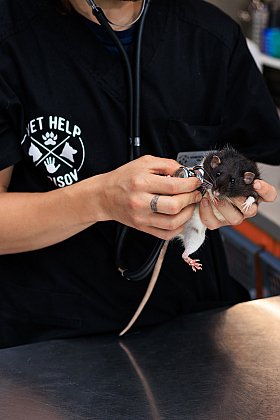 Работа фотографа Михаил и Елизавета Лукашевич