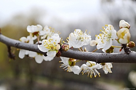 весна уж близко... | Фотограф Анастасия Алиева | foto.by фото.бай
