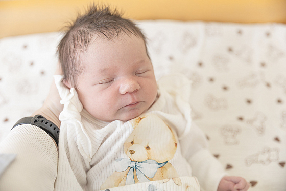 Фотограф Оксана Ткаченко, фотография добавлена 12.02.2026