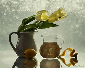 Про тюльпаны. лимоны и отражение | Фотограф Ирина Приходько | foto.by фото.бай