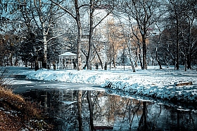 Зима | Фотограф Елизавета Дураева-Ивлева | foto.by фото.бай