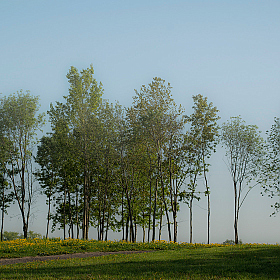 фотограф Andrei Savitsky. Фотография "***"