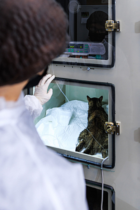 Работа фотографа Михаил и Елизавета Лукашевич