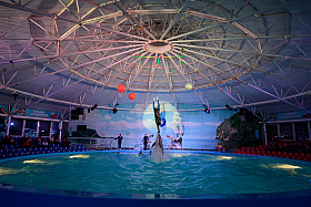 Работа фотографа Сергей Тарасов