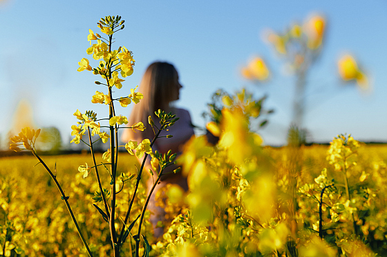 Фотограф Александр Минутко, фотография добавлена 21.11.2020