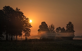 Грибное утро | Фотограф Николай Никитин | foto.by фото.бай