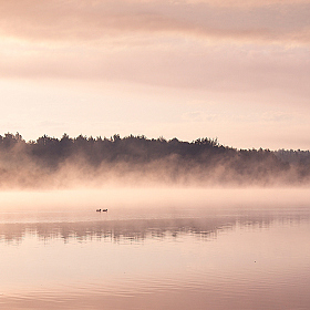 Дымка над водой | Фотограф Сергей Шабуневич | foto.by фото.бай