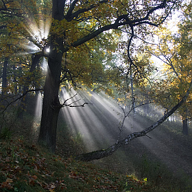 Утренний пейзаж