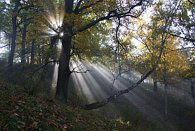 Утренний пейзаж | Фотограф Сергей Шляга | foto.by фото.бай