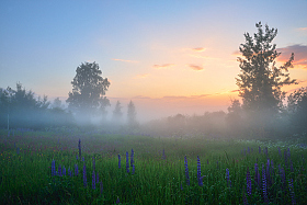 туман на закате | Фотограф Виталий Полуэктов | foto.by фото.бай