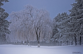 зимний вечер на городской окраине | Фотограф Владислав Рогалев | foto.by фото.бай