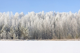 Зима в три слоя | Фотограф Евгений Гурков | foto.by фото.бай