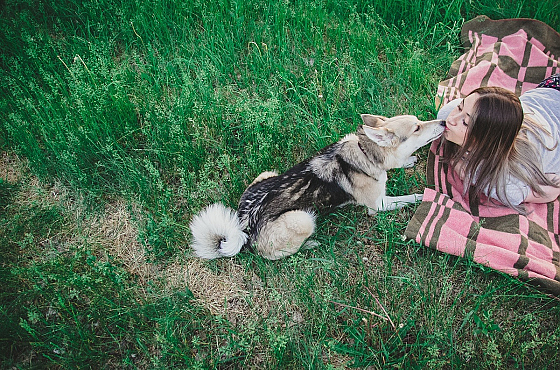 Фотограф Дмитрий Гусалов, фотография добавлена 11.10.2019
