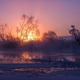фотограф Станислав Шолох. Фотография "Утренние краски"