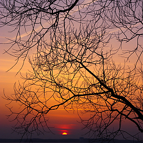 фотограф Екатерина Осипович. Фотография "Потрясающей красоты закат."