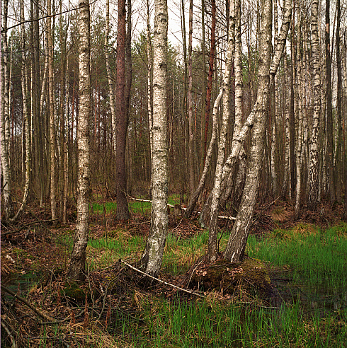 Максим Черноголов - фотограф, фотография добавлена 17.02.2020