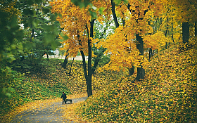 Осенняя лирическая | Фотограф Николай Никитин | foto.by фото.бай