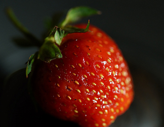 Александр Лагутик - фотограф, фотография добавлена 25.07.2017