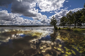 На золотистых озерах | Фотограф Vladimir Vavulo | foto.by фото.бай