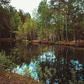 Старый пруд | Фотограф Света Шкиль | foto.by фото.бай
